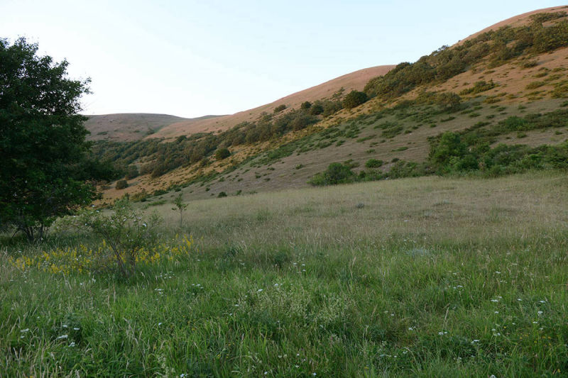 valle di fiordimonte riserva di caccia
