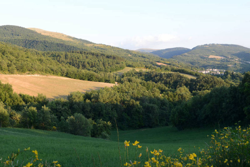 valle di fiordimonte riserva di caccia