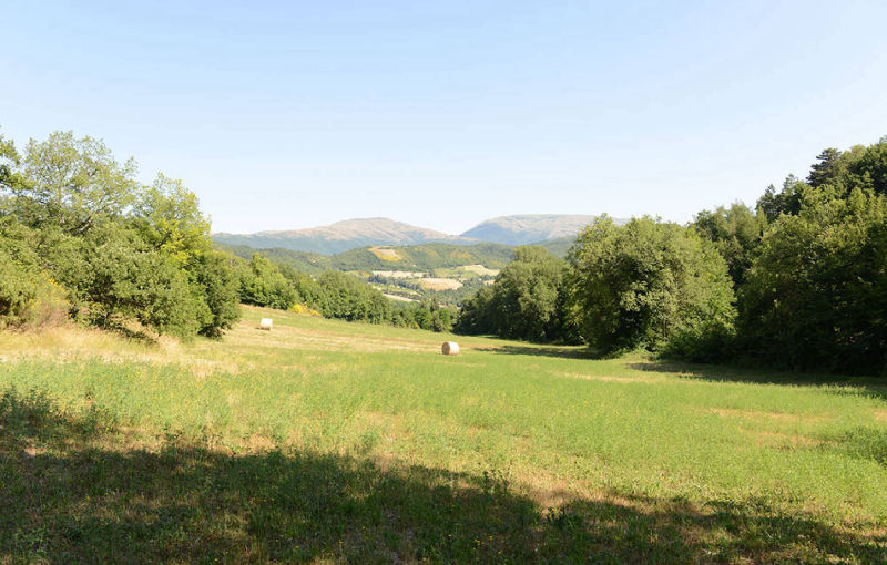 valle di fiordimonte riserva di caccia
