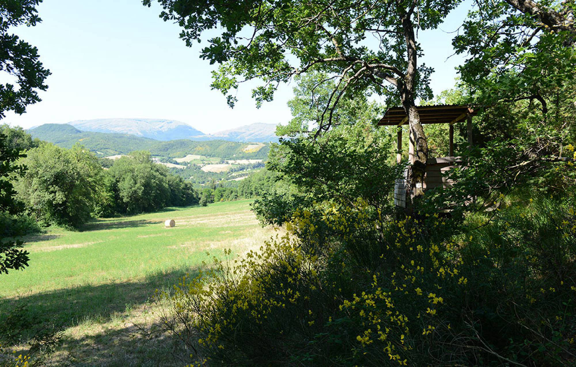 valle di fiordimonte riserva di caccia