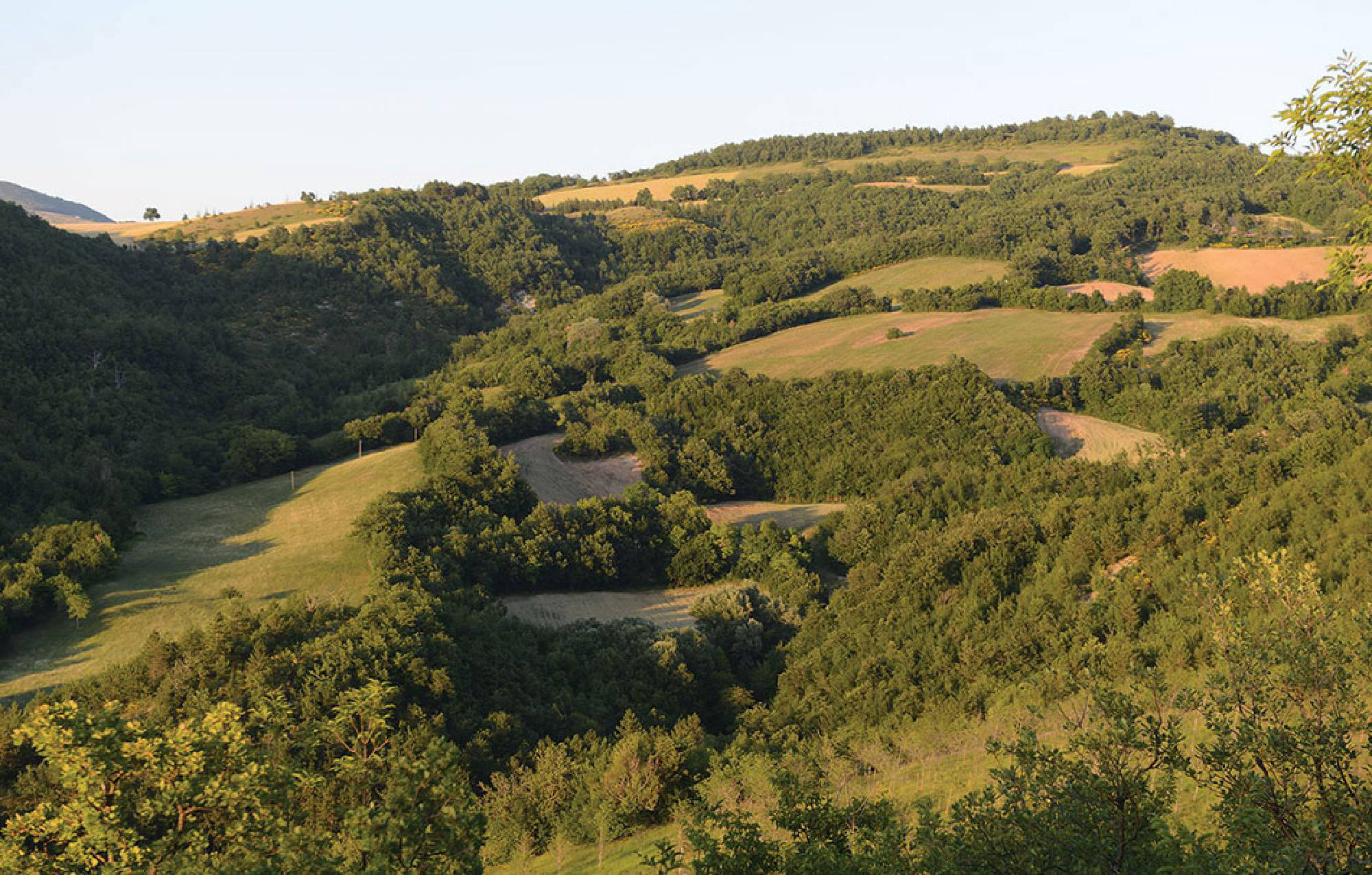 valle di fiordimonte riserva di caccia