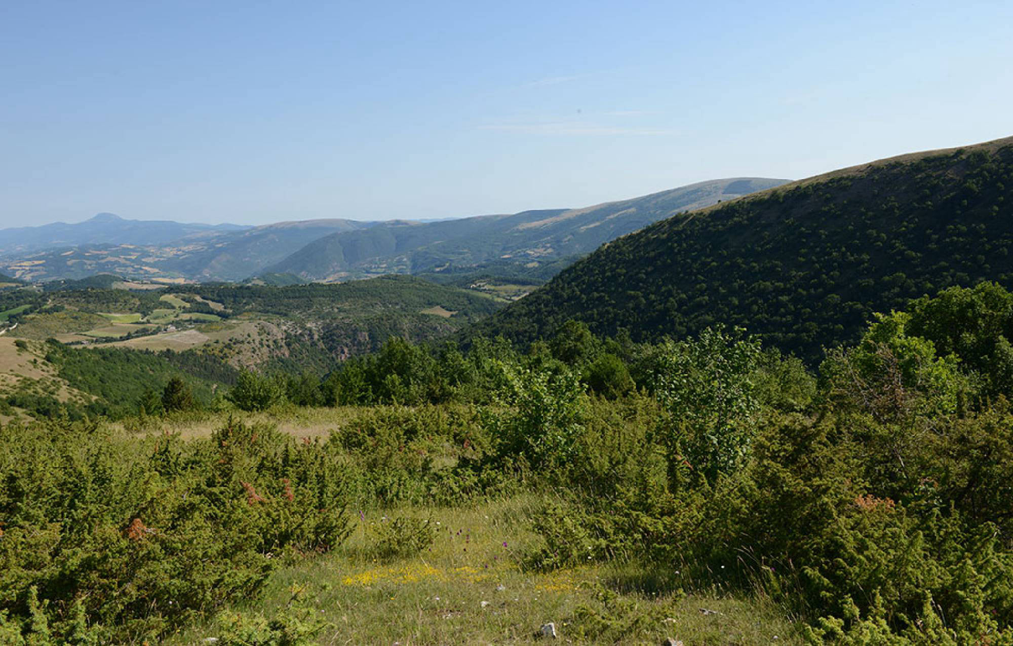 valle di fiordimonte riserva di caccia